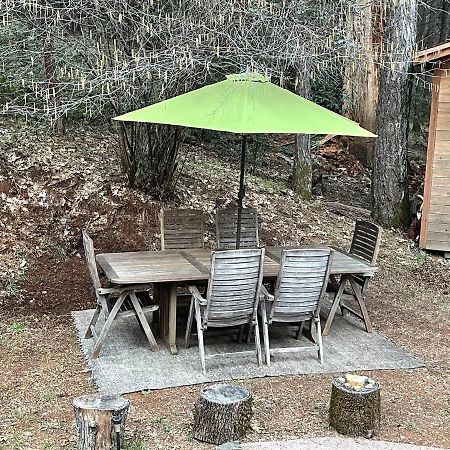 A Lovely Cabin House At Way Woods Retreat With Outdoor Hot Tub! - By Sacred Hub Mgmt Foresthill Buitenkant foto